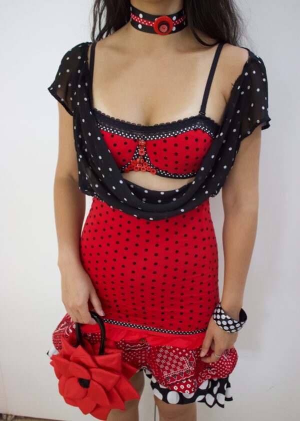 Ladybug girl set